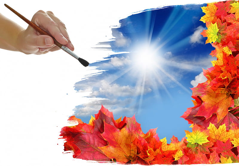 Sunny Autumn, pretty, autumn, sun, autumn leaves, sunny, bonito, clouds, brush, sweet, graphy, leaves, painting, hand, beauty, lovely, sunlight, autumn time, sky, leaf, sunrays, rays, autumn colors, drawing, nature, HD wallpaper