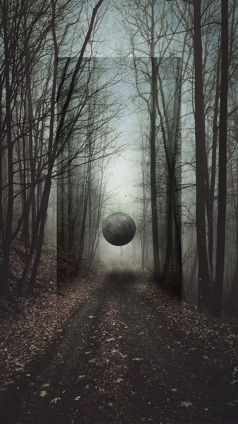 Moon, forest, digital art, sphere, HD phone wallpaper