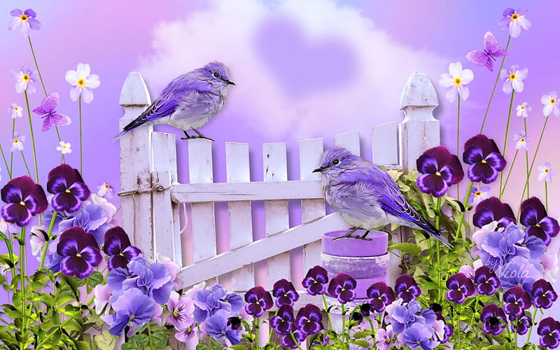Birds and Pansies, Viola Tricolor, fence, gate, cloud, birds, butterflies, easter, spring, purple, heart, pansies, flowers, garden, violet, HD wallpaper