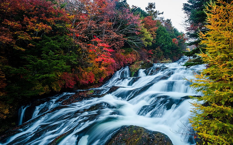 autumn, mountain river, waterfall, stones, forest, red trees, HD wallpaper