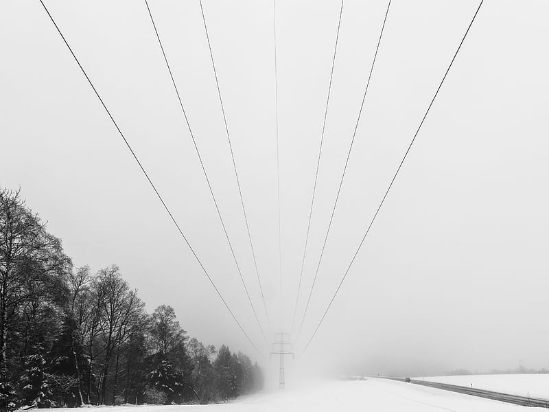 wires, pole, electricity, snow, winter, trees, HD wallpaper