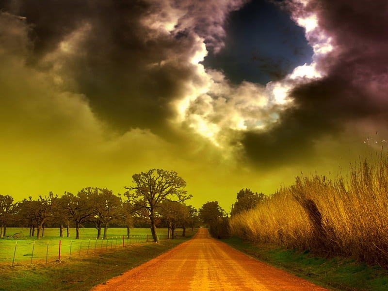 Amazing clouds, sky, clouds, tree, nice, beauty, nature, way, road ...