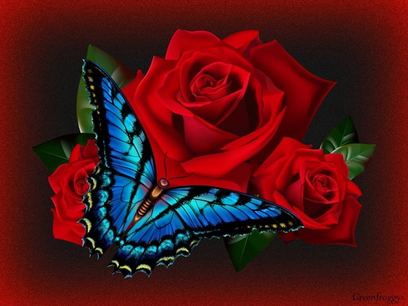 BLUE BUTTERFLY ON ROSE, CREATION, ROSE, BUTTERFLY, ABSTRACT, HD wallpaper