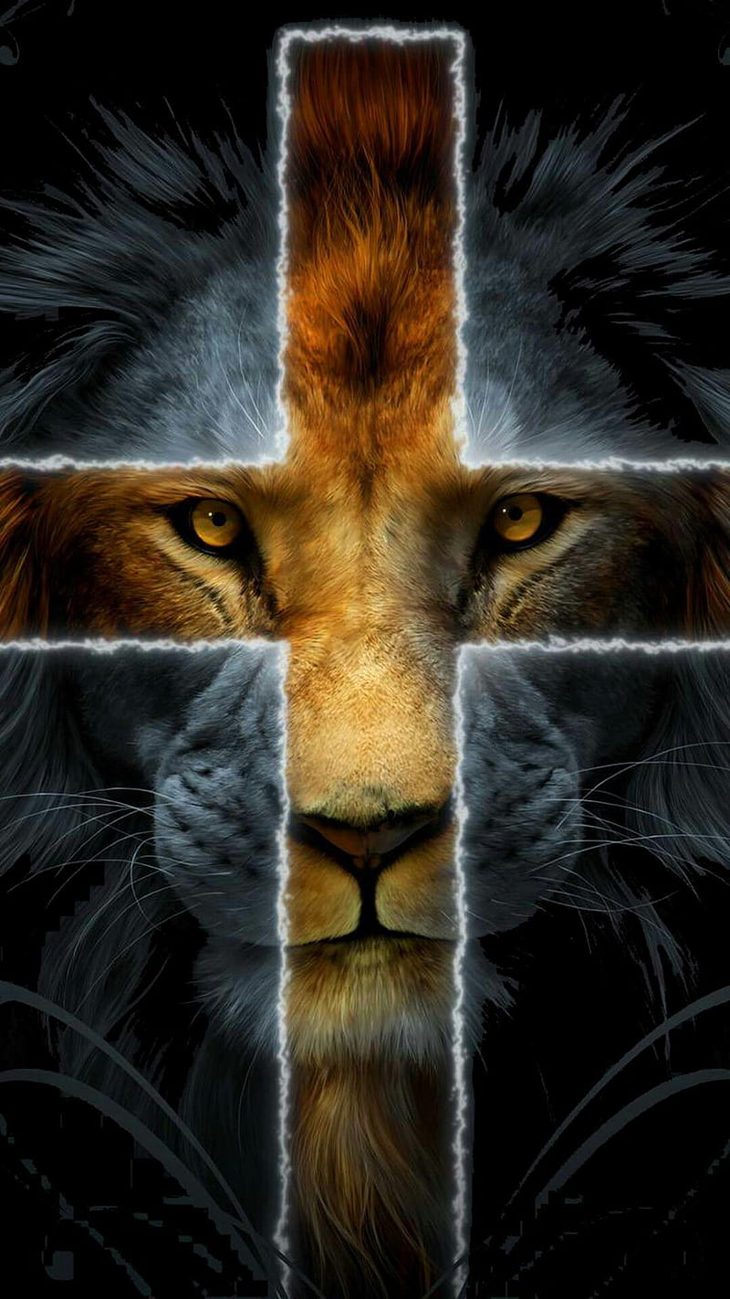 The king, animal, black and white, cross, face, lion, wild, HD mobile wallpaper