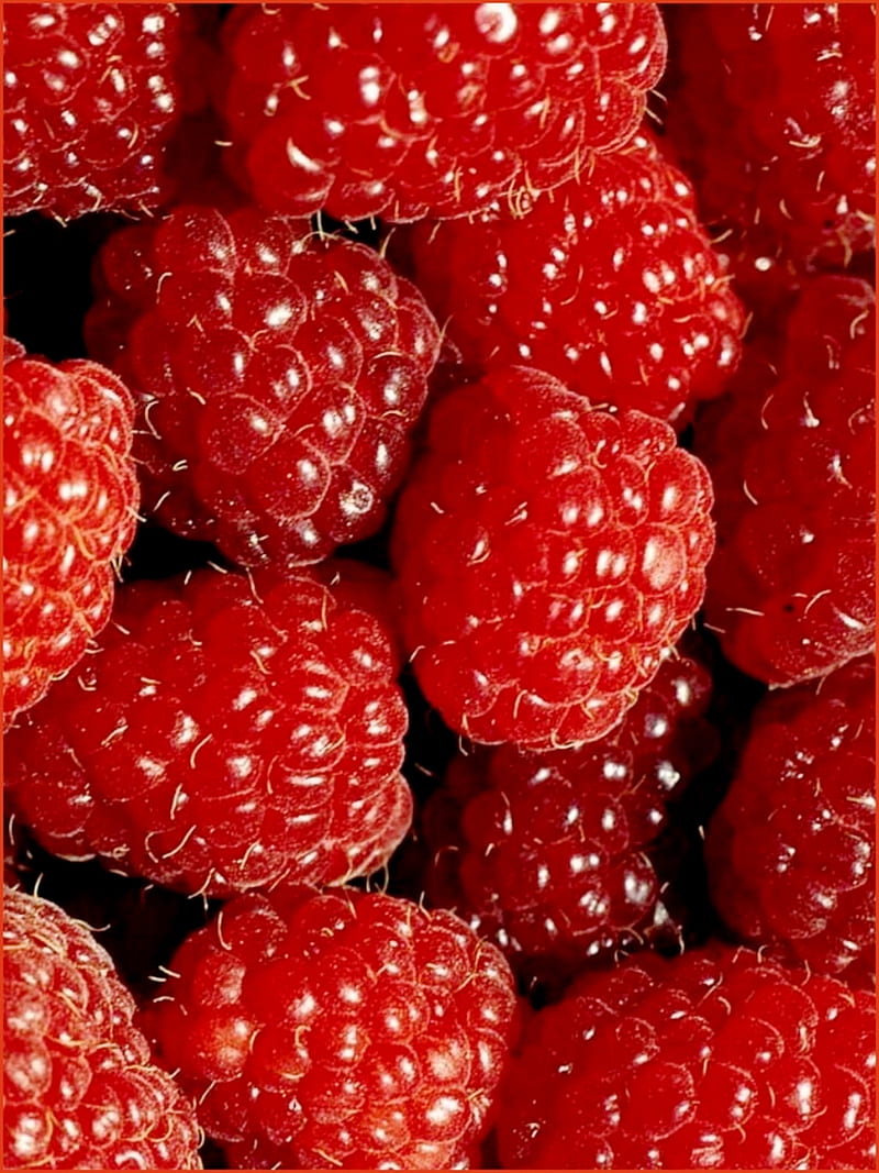 Berries , bubu, cool, food, magma, pattern, raspberries, raspberry, red, HD phone wallpaper