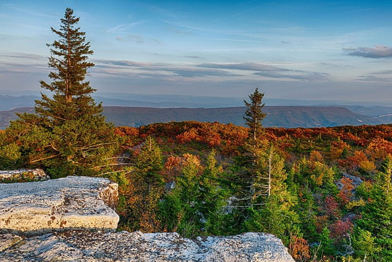 Dolly Sods, Canaan Mountains, rocks, fall, colors, trees, landscape, HD wallpaper