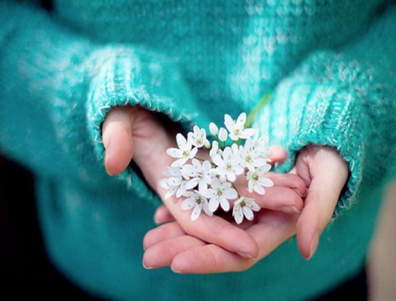 Welcome June:), hands, flowers, sweater, girl, HD wallpaper