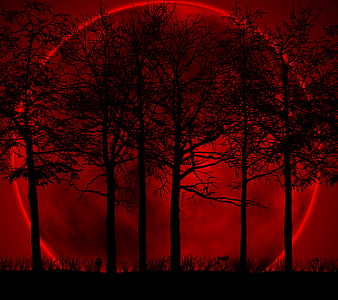 Blood Red Moon, darknight, landscape, nature, tree, HD wallpaper | Peakpx