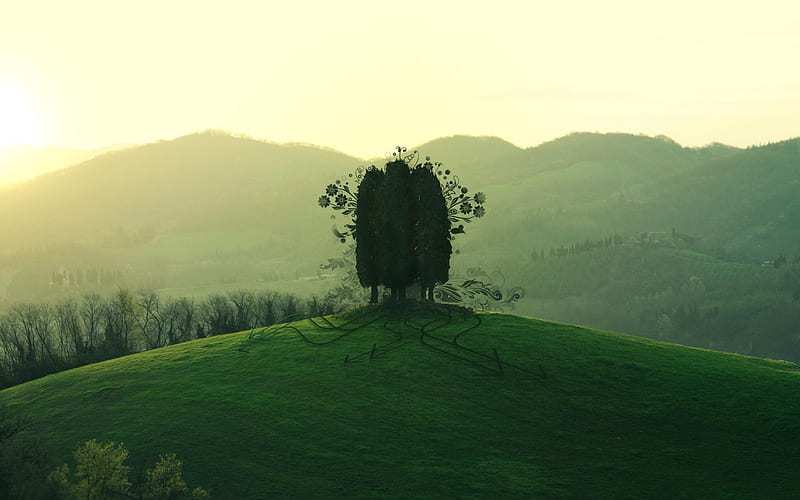 Green Hill-Nature Landscape, HD wallpaper