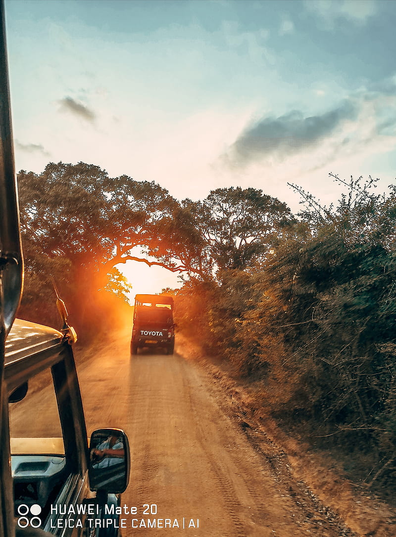 Yala Safari, carros, nature, night, pick, ram, road, together, truck, trucks, up, HD phone wallpaper