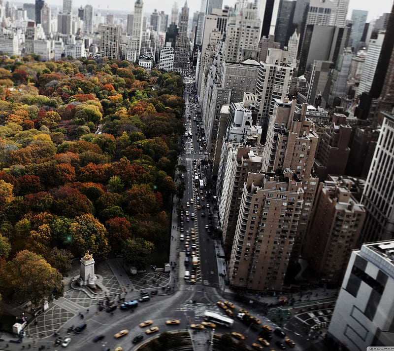 New York, carros, city, park, skyline, HD wallpaper
