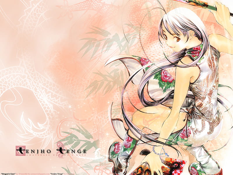 Tenjou Tenge Wallpaper: The-True-Warrior - Minitokyo