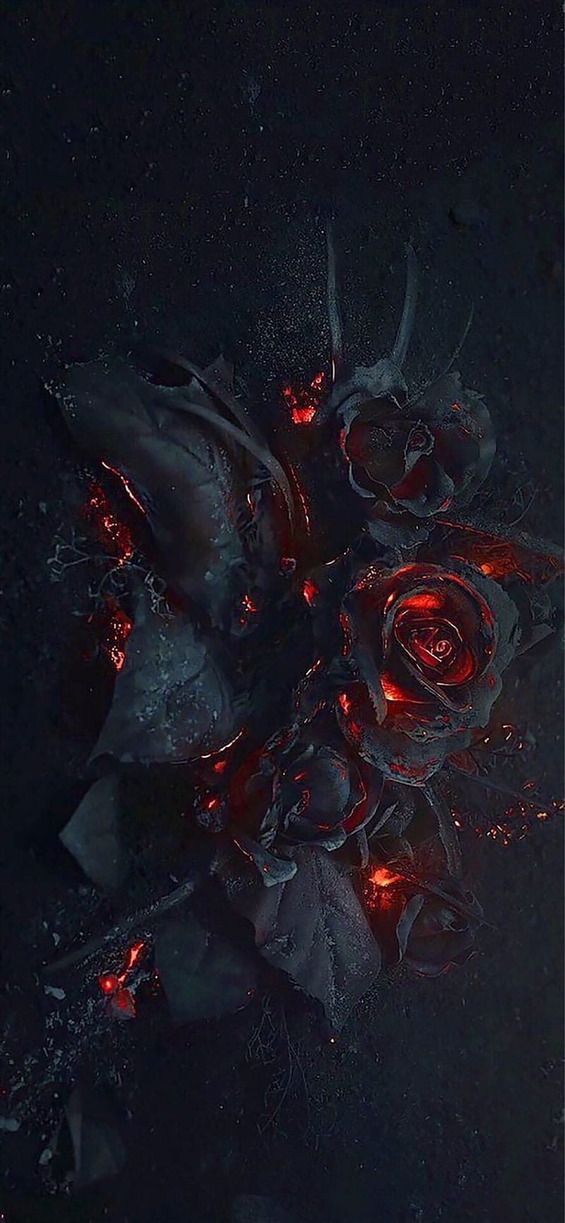Fire Roses, rose, black, orange, HD phone wallpaper