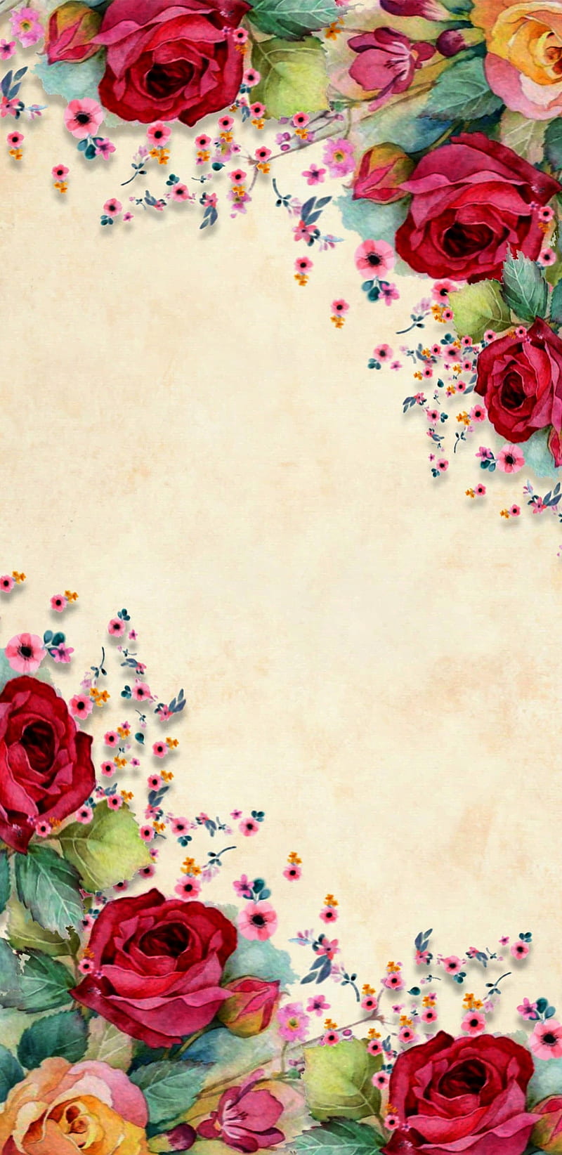 RoseGarden, roses, rose, garden, bonito, floral, flower, luxurious, HD phone wallpaper
