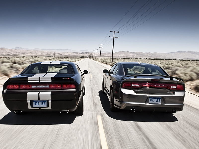 two dodge car belonging on the road, carros, speed, road, dodge, HD wallpaper