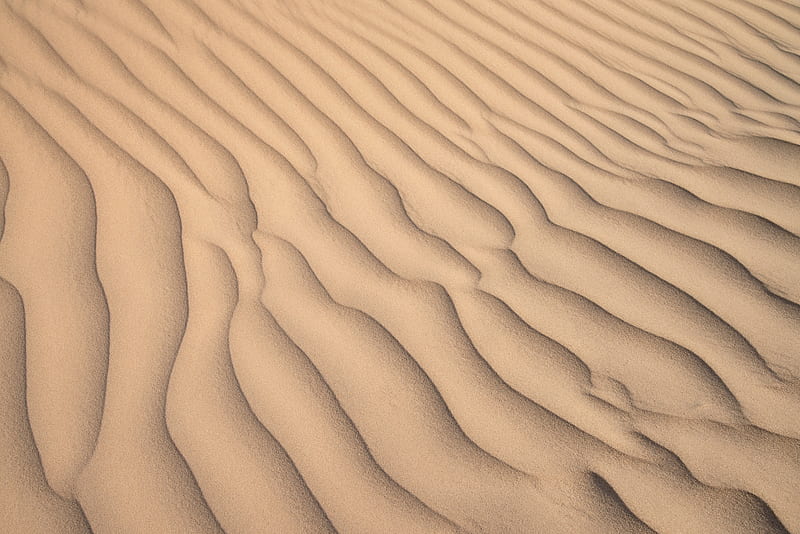 desert, sand, waves, relief, texture, HD wallpaper
