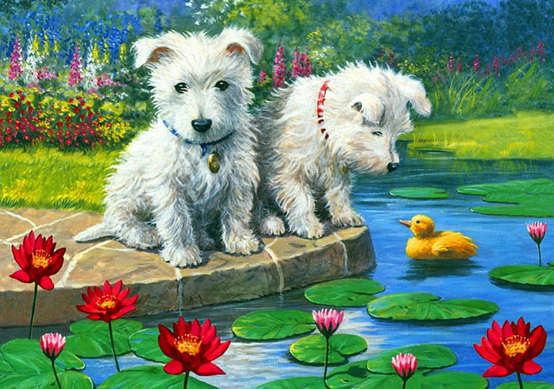 Westie pups, grass, fluffy, bonito, adorable, sweet, nice, puppies, flowers, duckling, friends, pups, playing, art, lovely, lilies, fun, joy, yard, lake, freshness, pond, cute, painning, water, summer, garden, westie, white, HD wallpaper