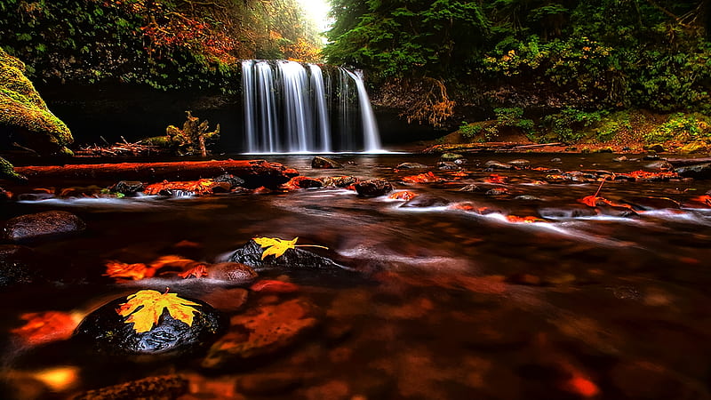 Autumn Waterfall, Fall, red, rocks, autumn, leaves, waterfall, cascade, HD  wallpaper | Peakpx