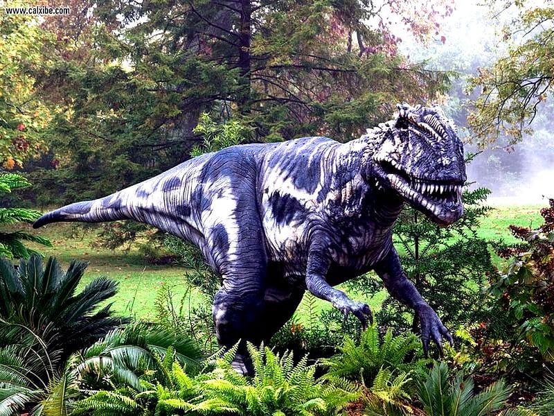 Megalosaurus, predator, dinosaur, gigantic, forrest, HD wallpaper