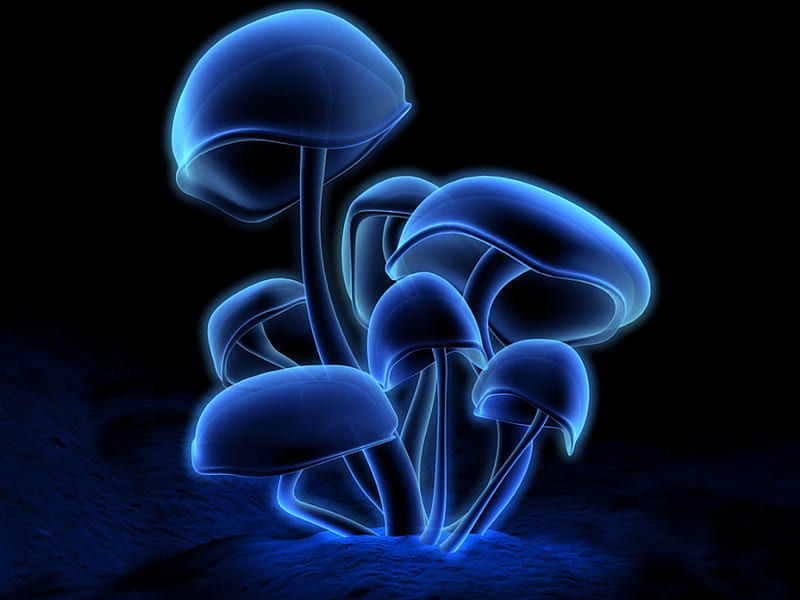 mushroom 3d, glow, angel, mushroom, black, 3 dimension, 3d, dark, nature, violet, blue, HD wallpaper