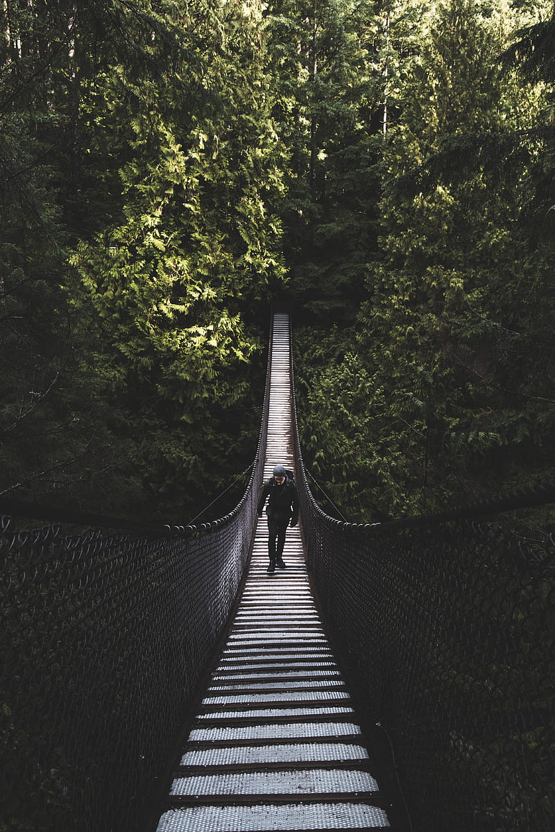 suspension bridge, bridge, man, trees, forest, HD phone wallpaper