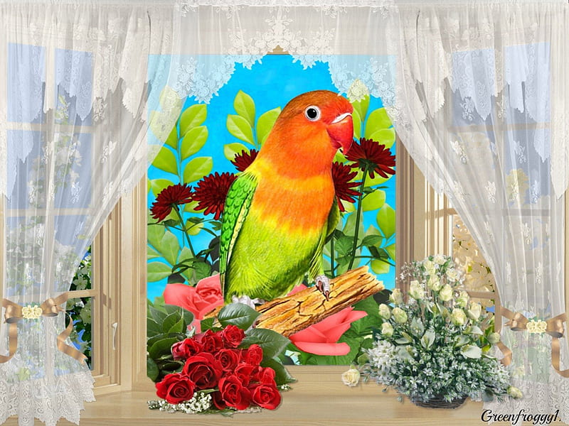 Polly  Parrot Wallpaper by Eades  Draw  Eades  Draw