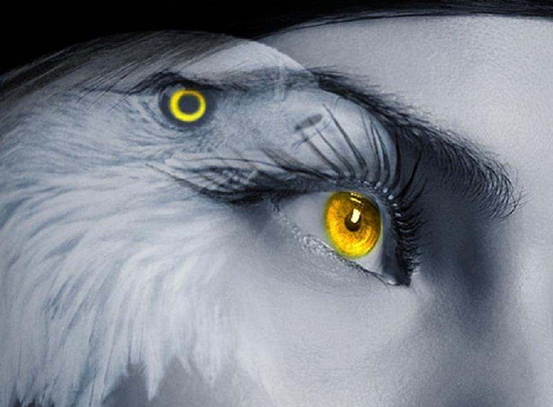 voorkoms Eagle With Eye Temporary Tattoo Sticker For Male And Female Tattoo  Sticker - Price in India, Buy voorkoms Eagle With Eye Temporary Tattoo  Sticker For Male And Female Tattoo Sticker Online