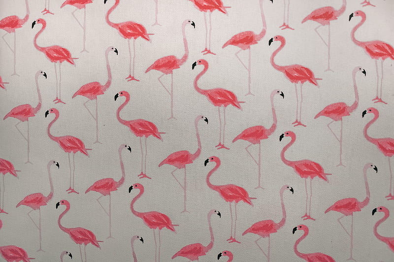 Pink Flamingo Printed Paper, HD wallpaper