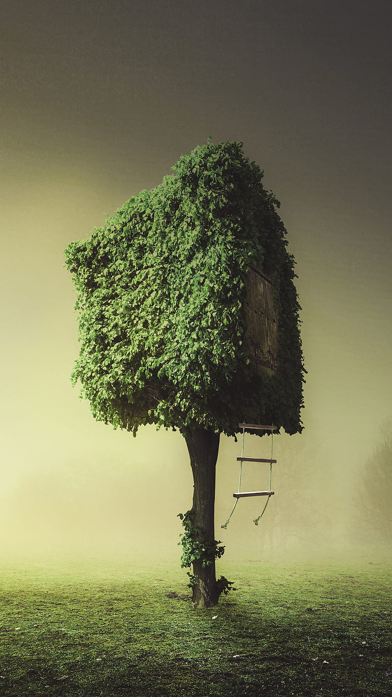 square tree, fog, green, hop, surrealism, HD phone wallpaper