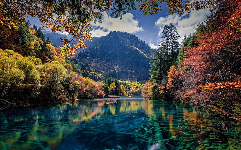 mountains, mountain lake, forest, blue lake, glacier lake, trees, HD wallpaper