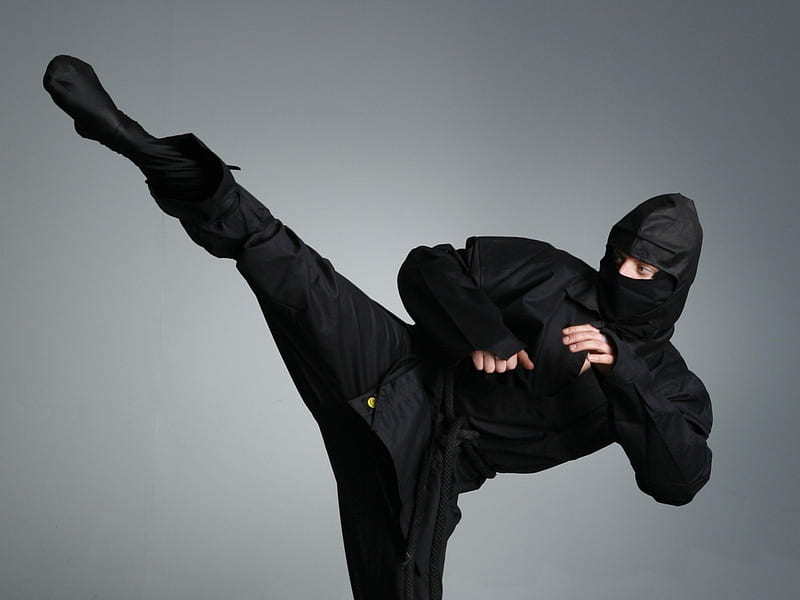 Ninja, arts, martial, karate, HD wallpaper | Peakpx