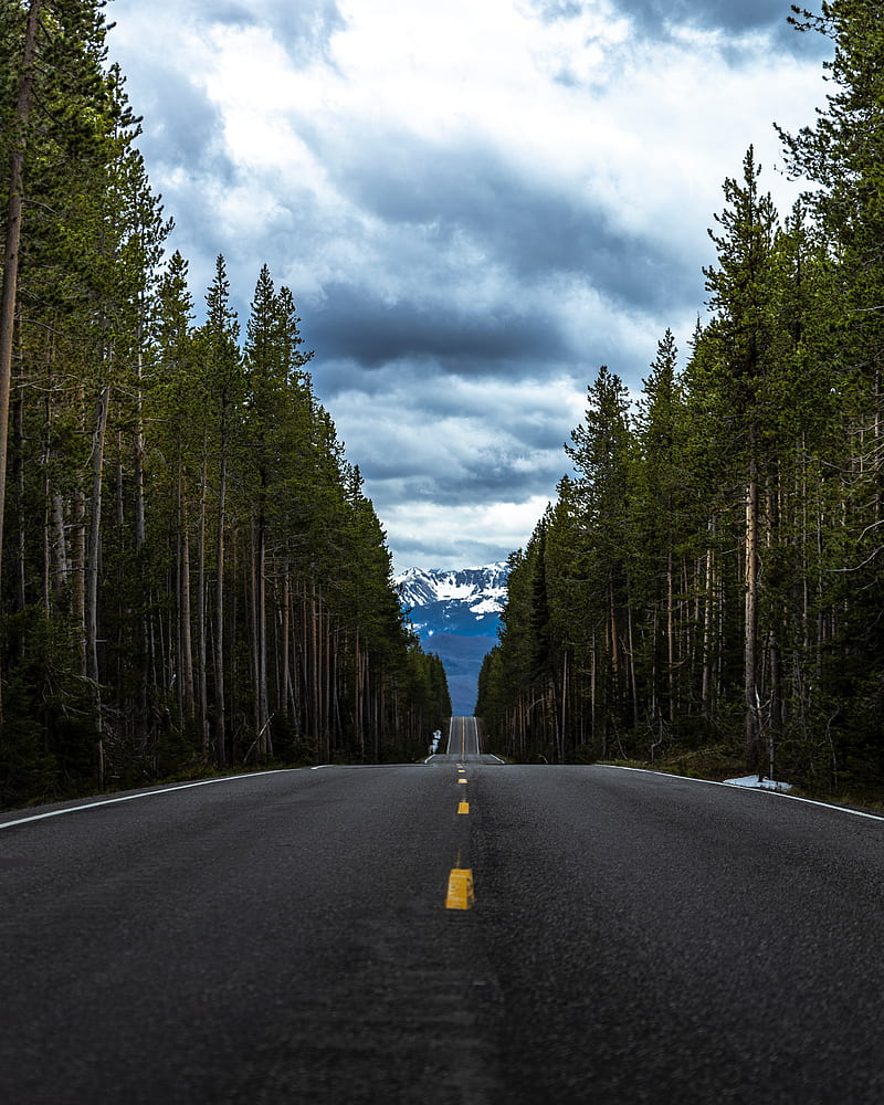 road, forest, mountain, asphalt, nature, HD phone wallpaper