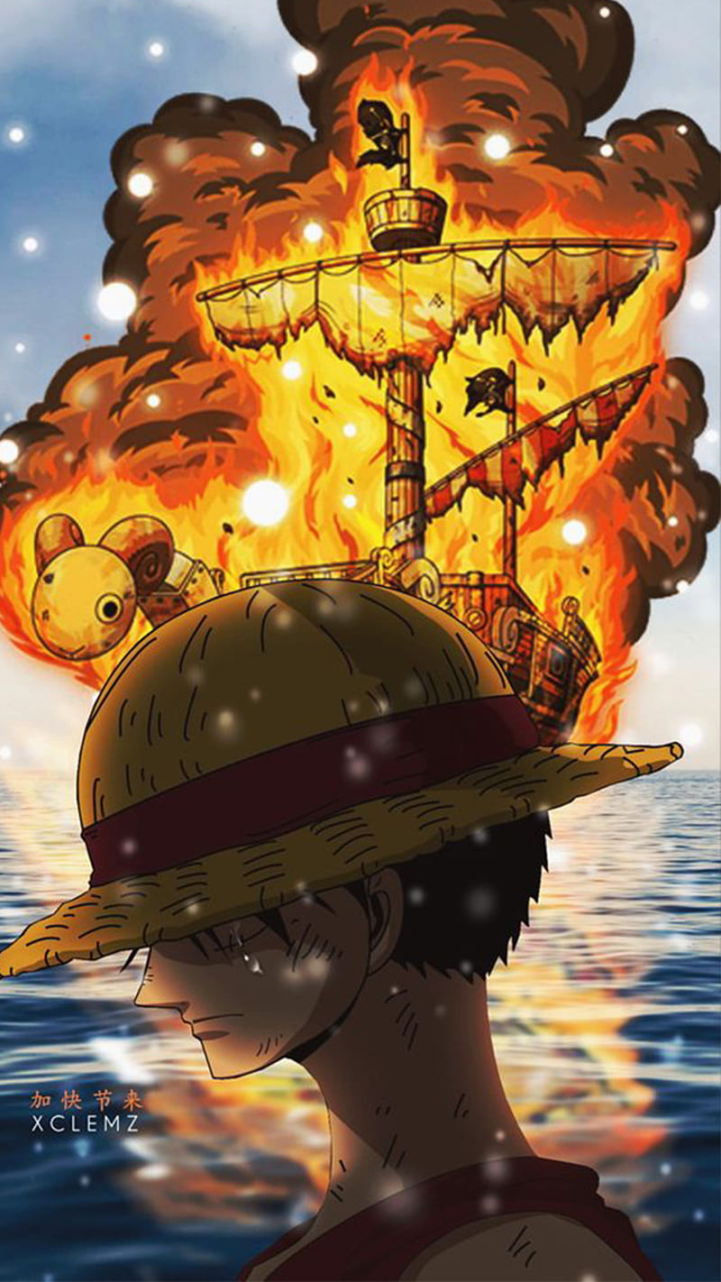 Luffy, Anime, One Piece, Merry, Manga, HD phone wallpaper