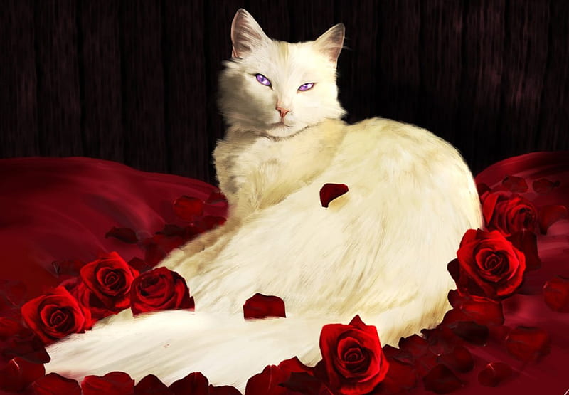 ✼.White Cat & Red Roses.✼, red, pretty, scents, white cat, bonito, digital art, fragrance, aroma, paintings, gentle, love, flowers, drawings, animals, lovely, kitty, roses, cat, softness, cute, redroses, tender touch, HD wallpaper