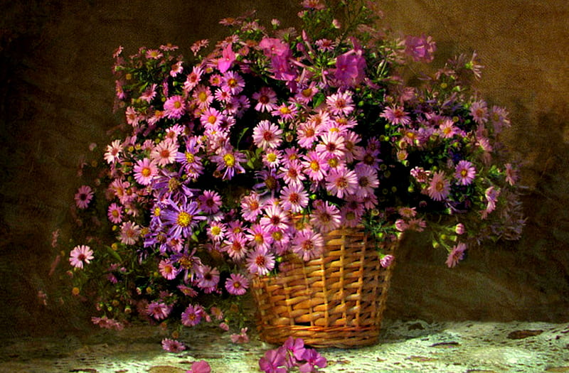 Purple Aster Still, purple asters, table, still life, white fabric, purple, basket, flowers, asters, HD wallpaper