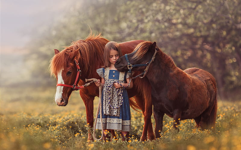 :-), little, poney, horse, animal, cal, cute, girl, copil, child, HD wallpaper