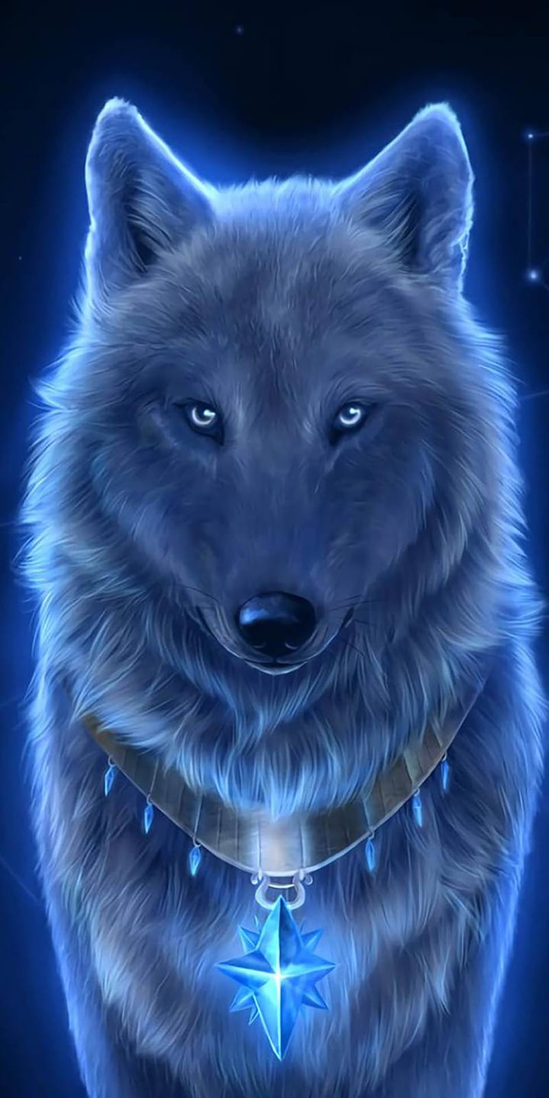 Wolf , calm, HD phone wallpaper