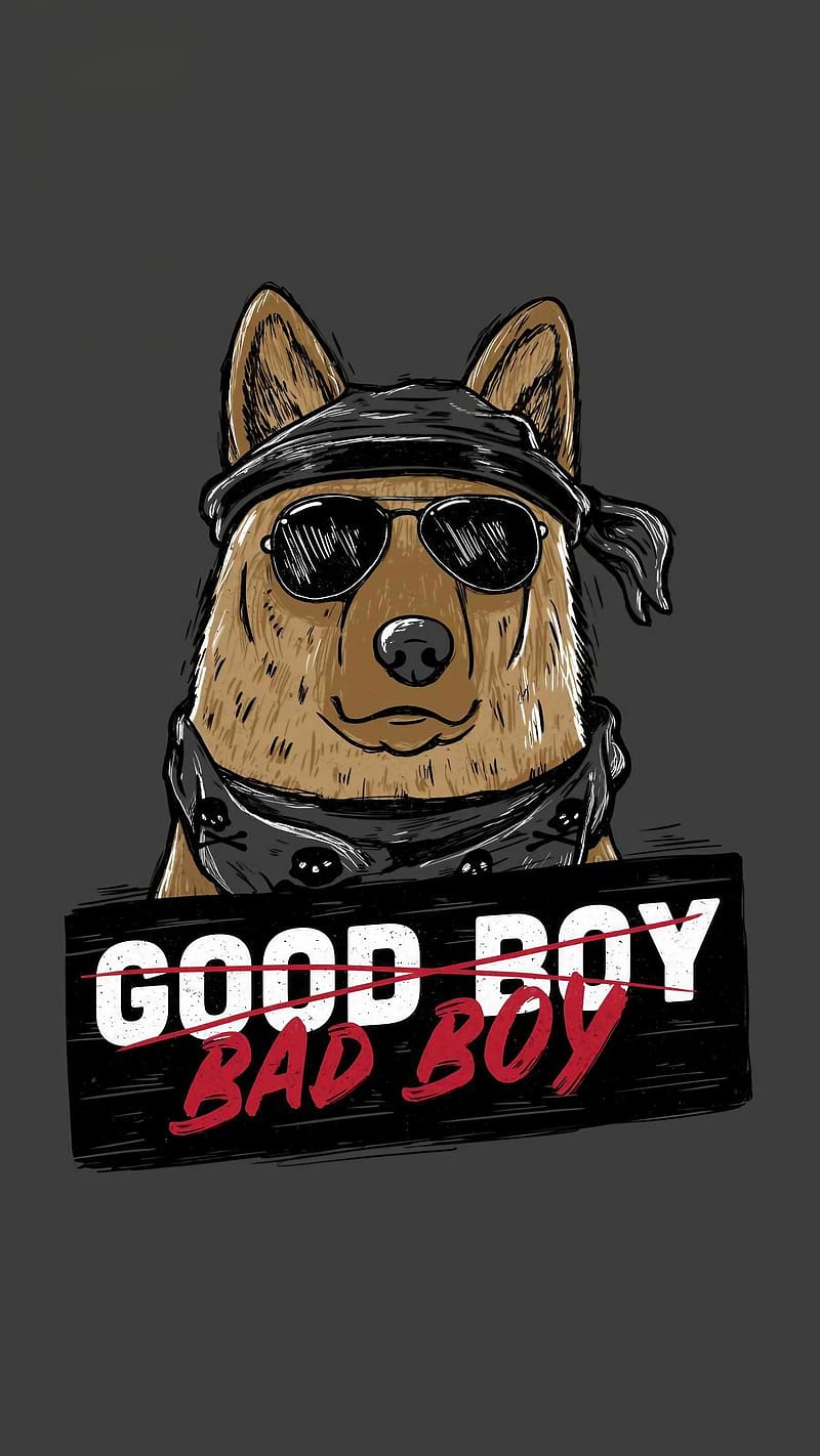 Good Boy Bad Boy, Pet Dog, animal, HD phone wallpaper