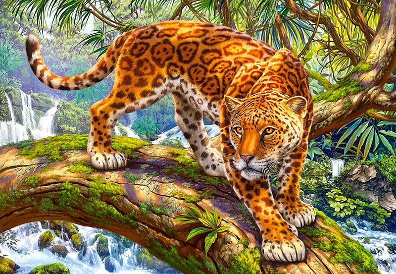 jaguar in a tree