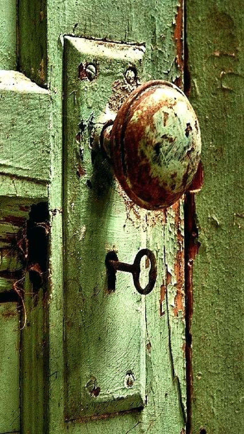 Who is it, door, knock, company, entrance, front door, exit, entry way, green, old, weathered, HD phone wallpaper