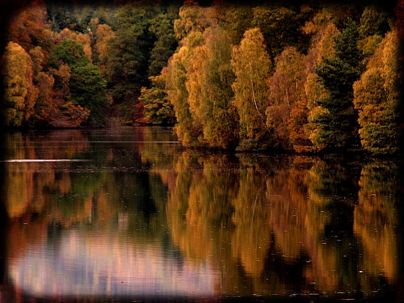 Lake in autumn, forest, tree, nature, lake, HD wallpaper | Peakpx