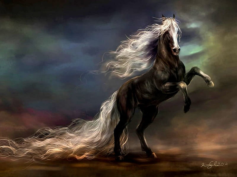BLACK HORSE, fantasy, splendor, black, abstract, sky, HD wallpaper