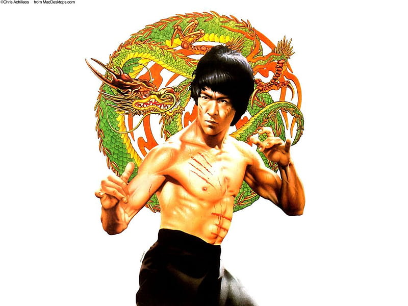 Bruce lee, kung fu, fighters, dragon, HD wallpaper | Peakpx
