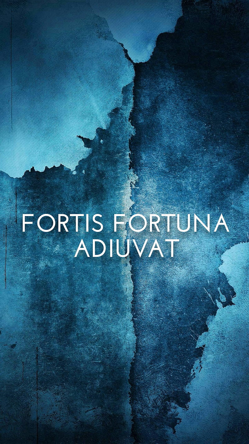 PAINTER OF POWER - FORTIS FORTUNA ADIUVAT 🔥 | Facebook