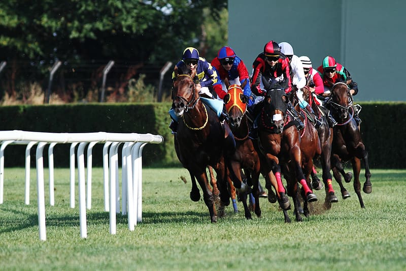 Haydock John of Gaunt Stakes Day horse racing tips beside busy Saturday  racecard | talkSPORT