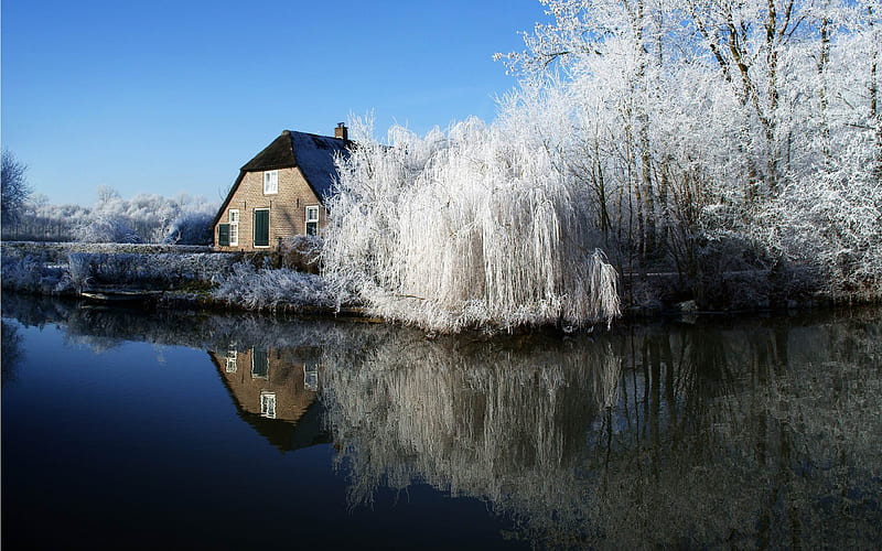 farmhouse and frosty trees-winter snow theme, HD wallpaper