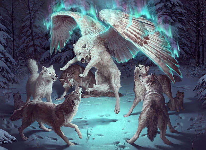 white wolf with wings drawings