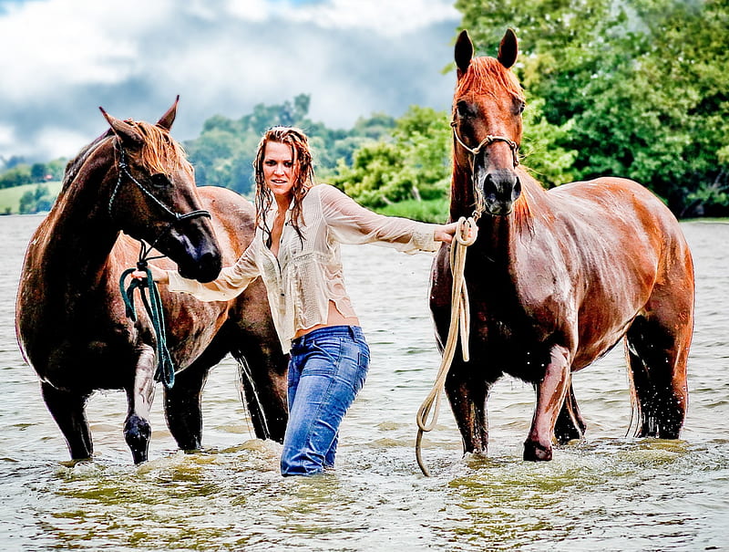 THE HORSE RESCUER TWO HORSES, COWGIRL, RESCUED, WATER, HORSES, HD wallpaper
