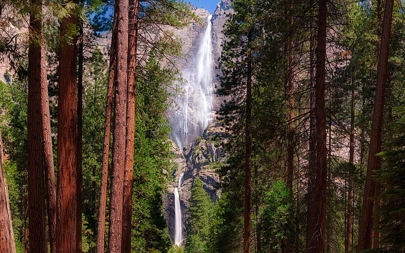 Yosemite waterfall, rock, forest, redwood, rocks, Yosemite National Park, California, United States, HD wallpaper