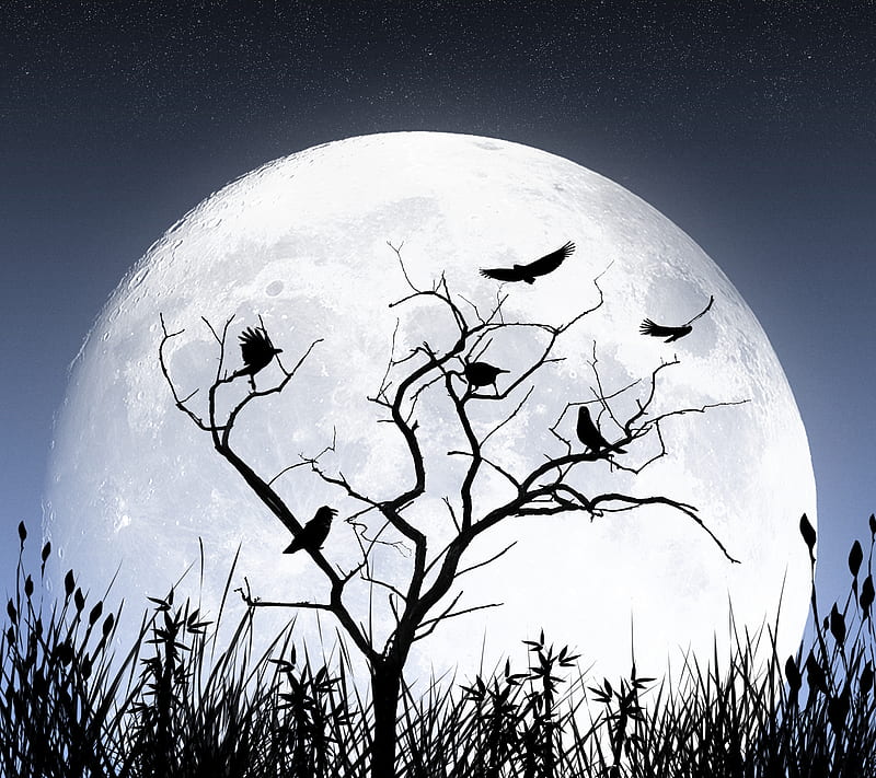 Abstract, mb, mbdesign, moon, night, sky, tree, HD wallpaper